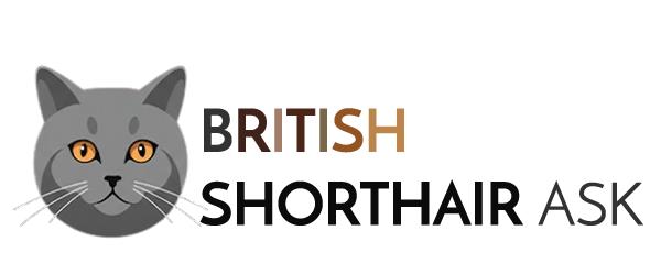british shorthair ask Logo