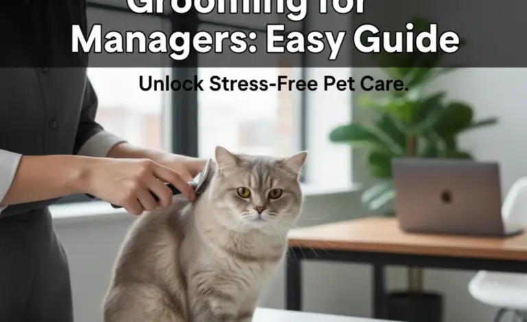 British Shorthair Grooming for Managers: Easy Guide