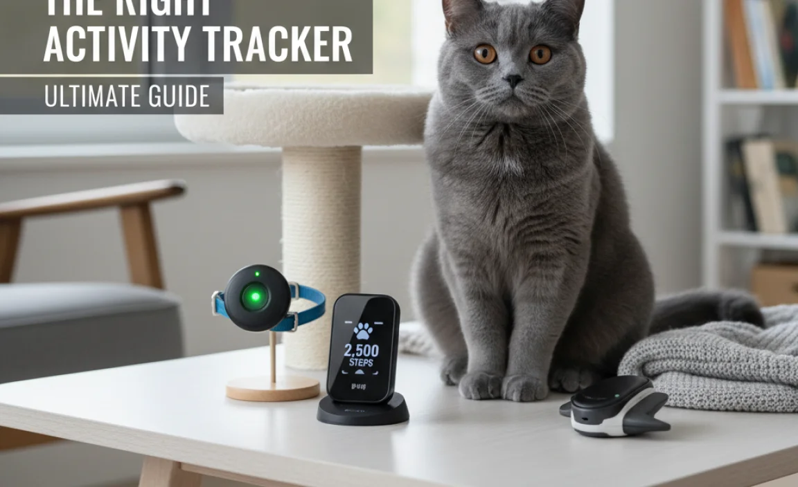 Choosing the Right Activity Tracker