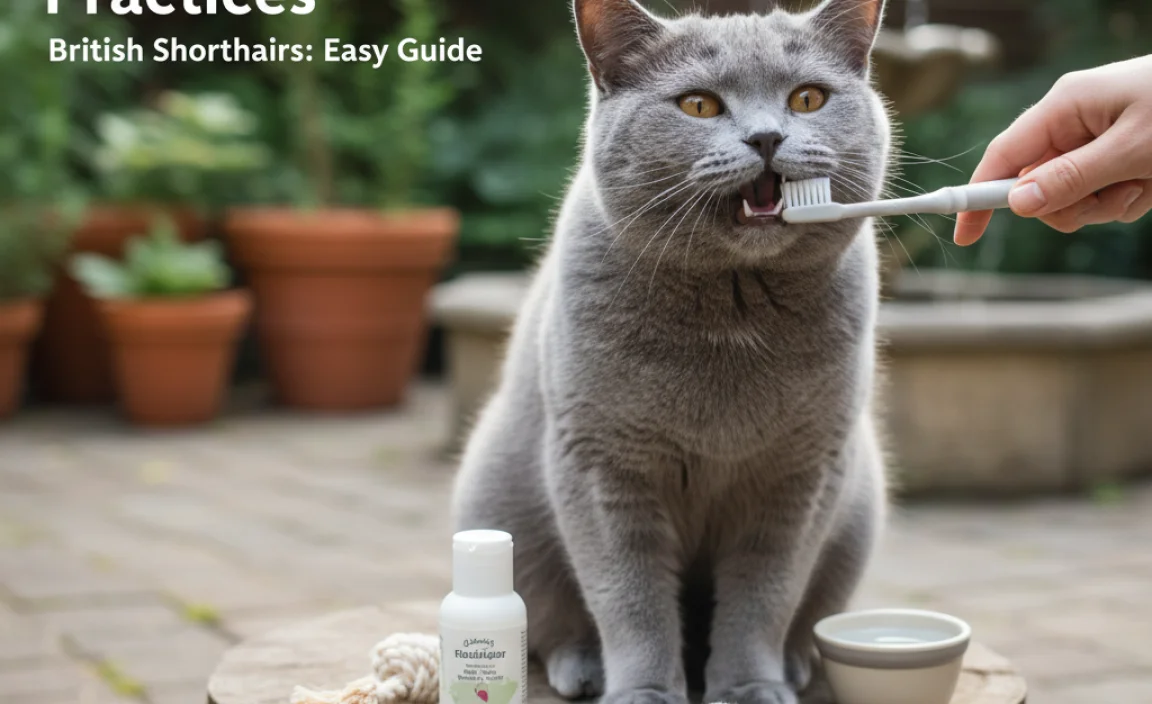 Essential Outdoor Dental Care Practices